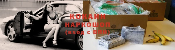 дживик Гусев