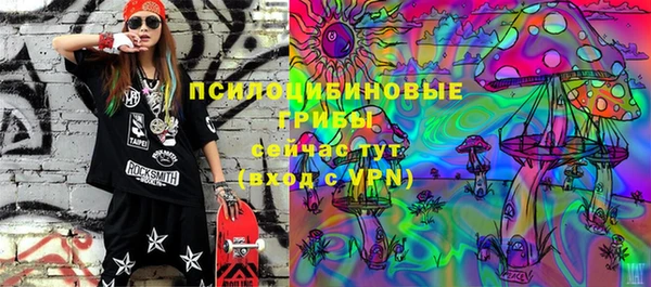 дживик Гусев