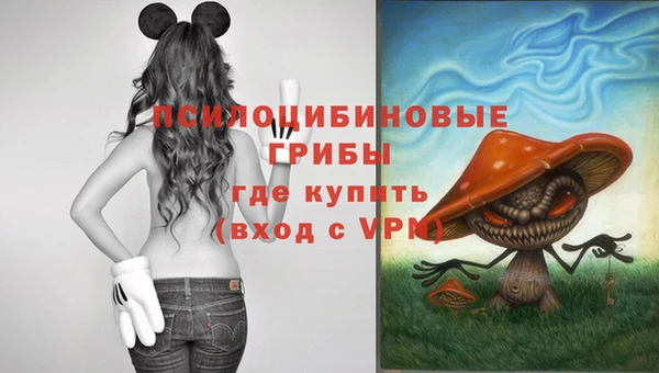 дживик Гусев
